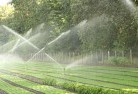 Carmellandscaping-water-management-and-drainage-17.jpg; ?>